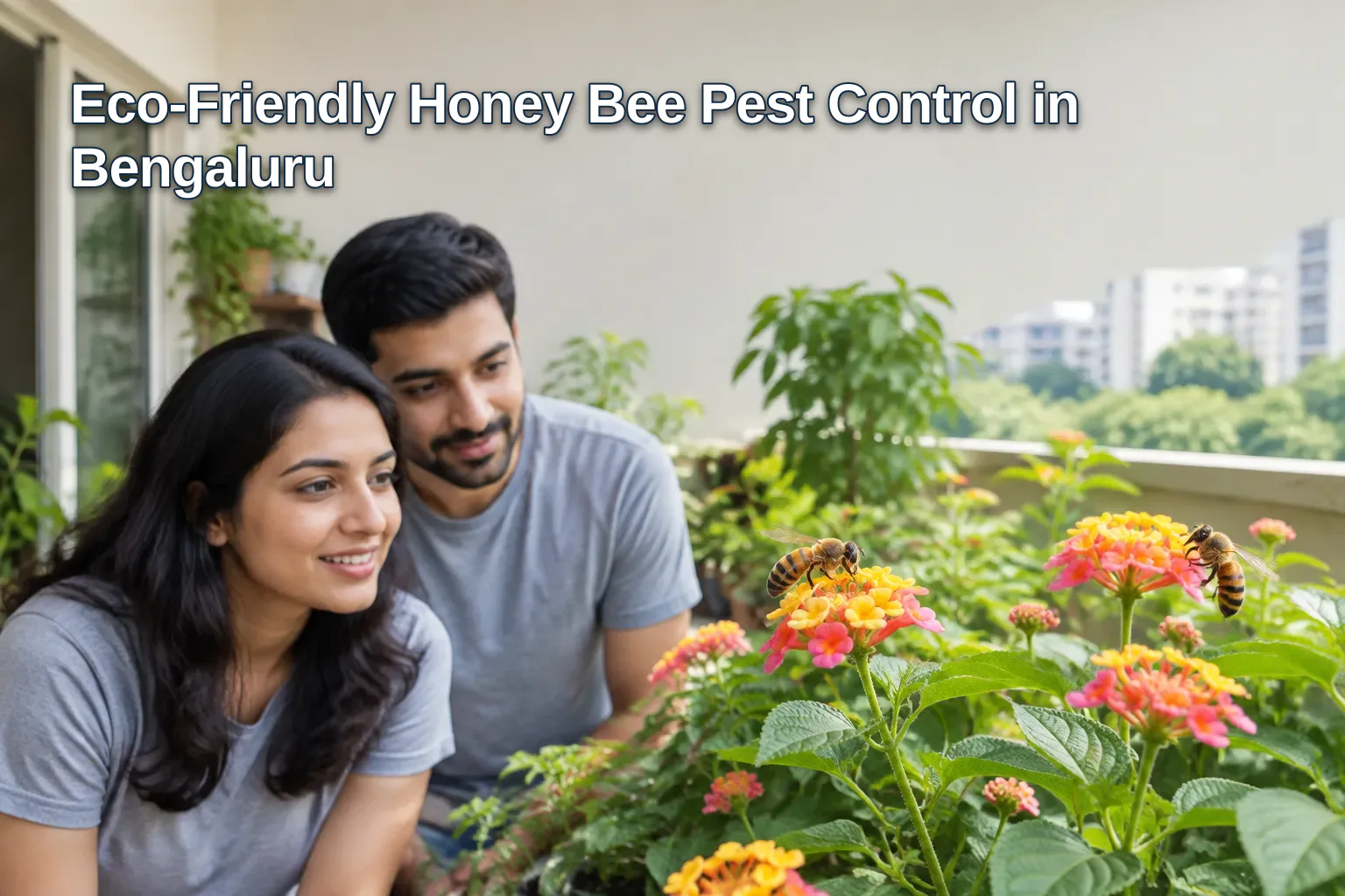 Honey bees on flowers in Bangalore