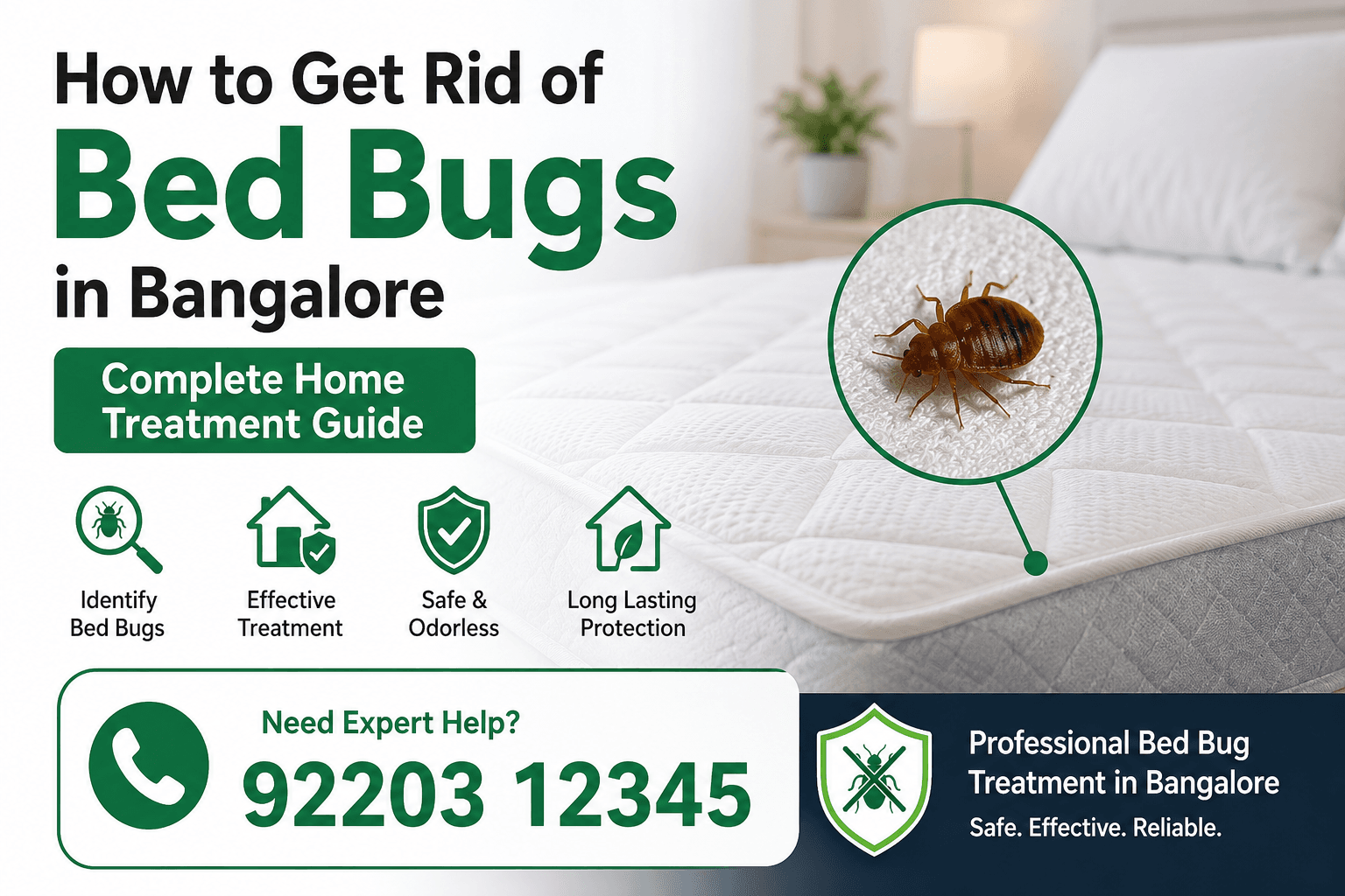 Bed bugs on a mattress, with text about getting rid of bed bugs in Bangalore.