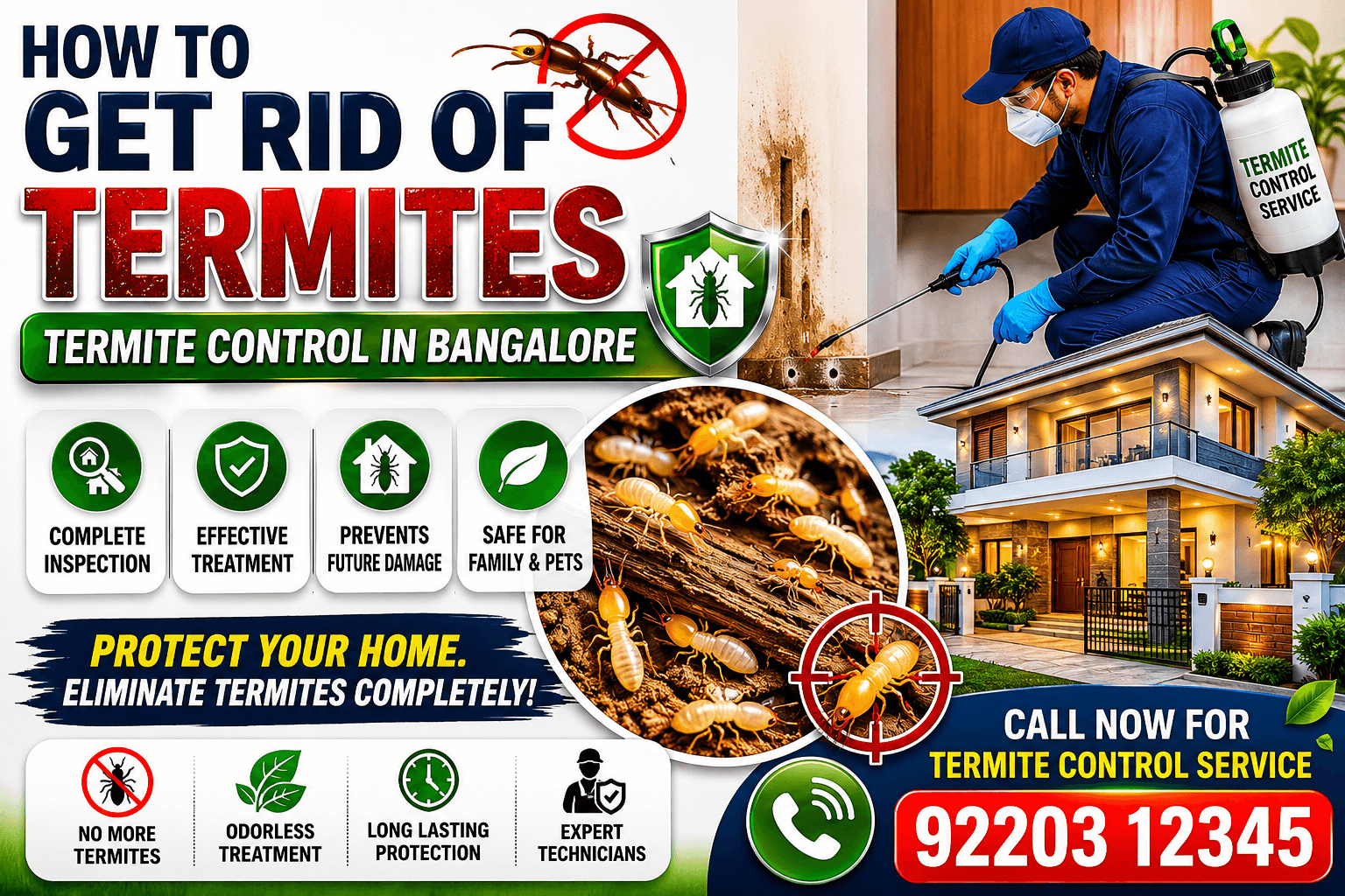 Termite control in Bangalore: Expert inspects home for termites & offers solutions.